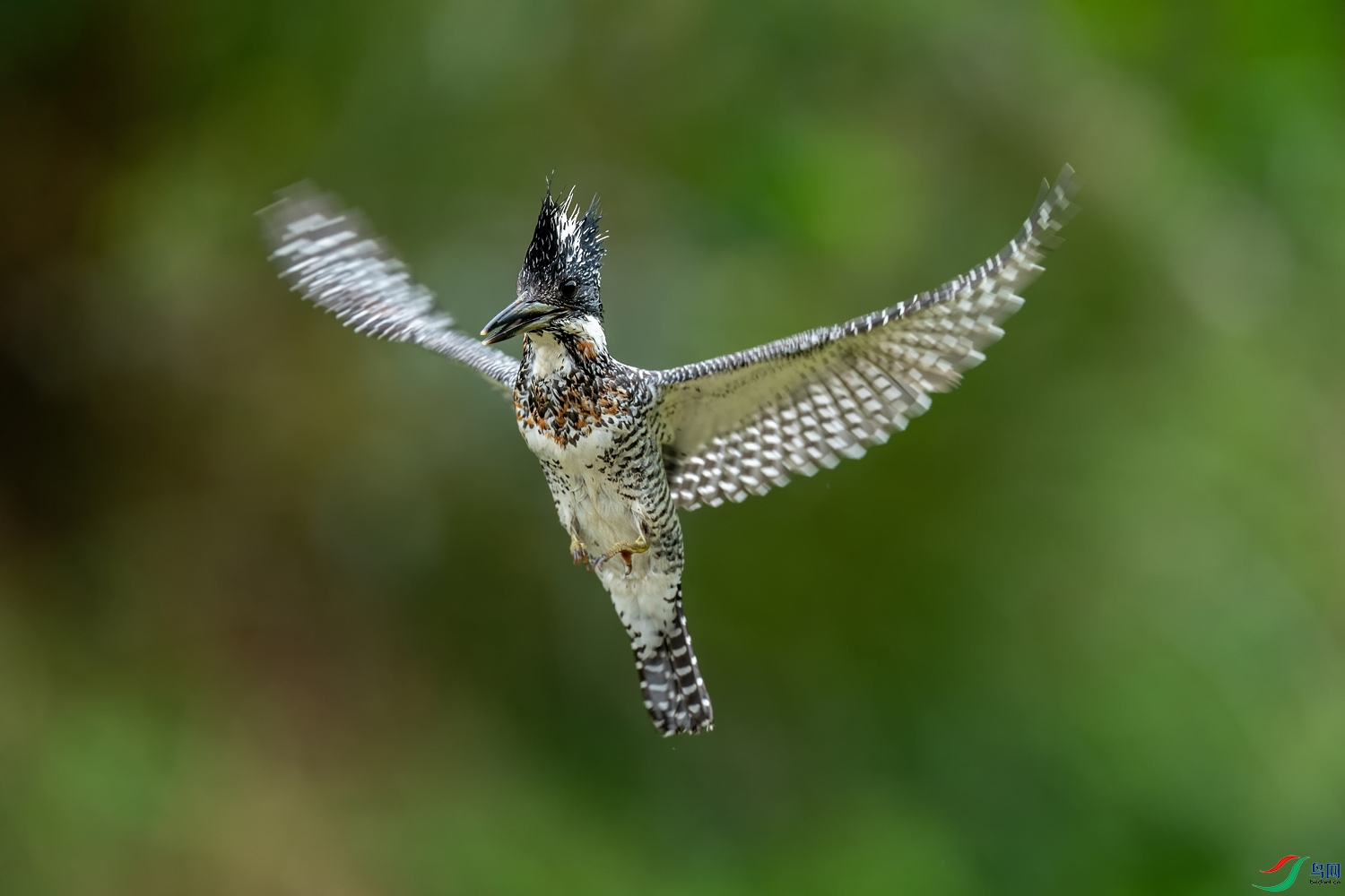 A9D04165a.jpg