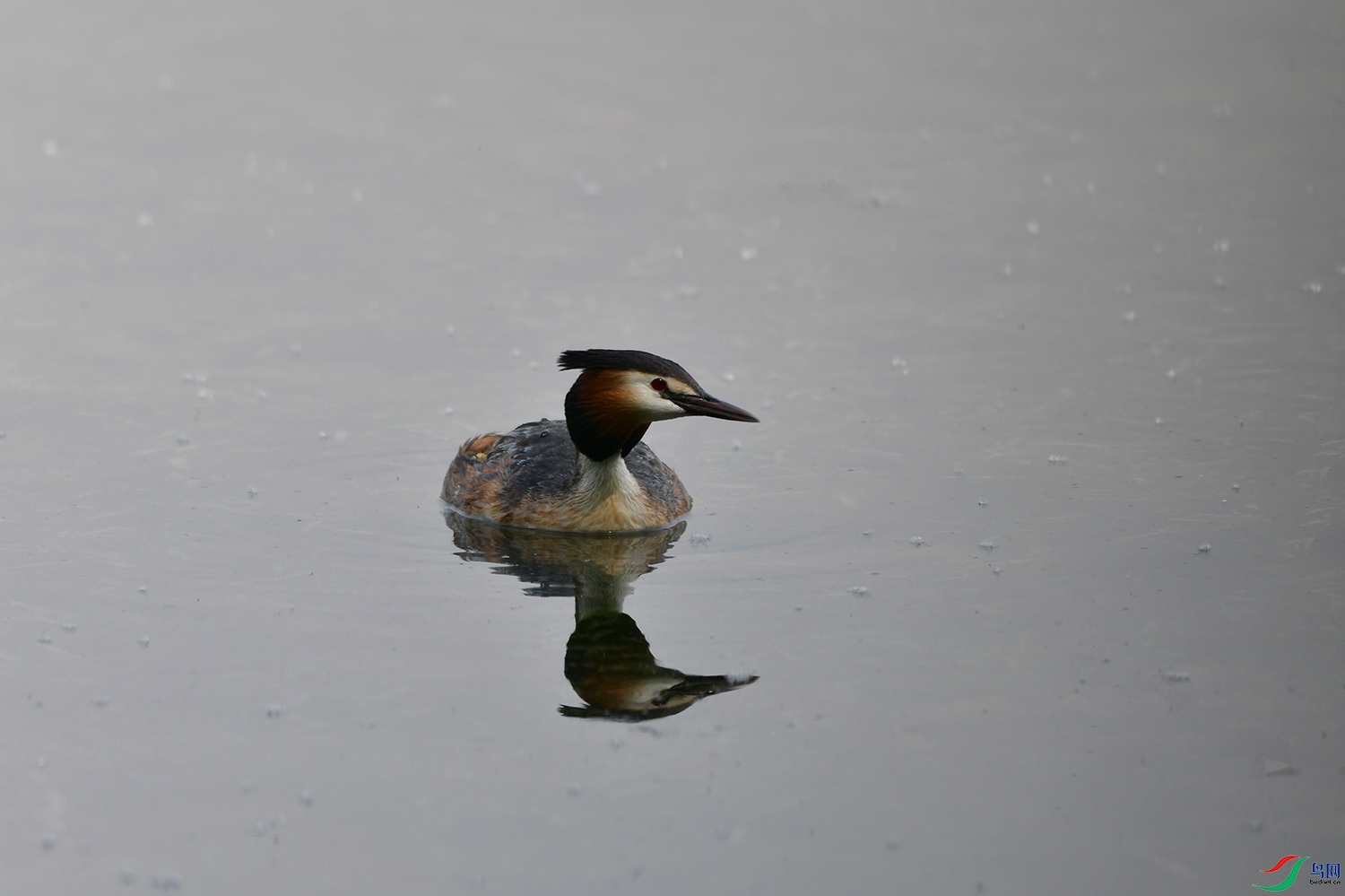 DSC_3537.jpg
