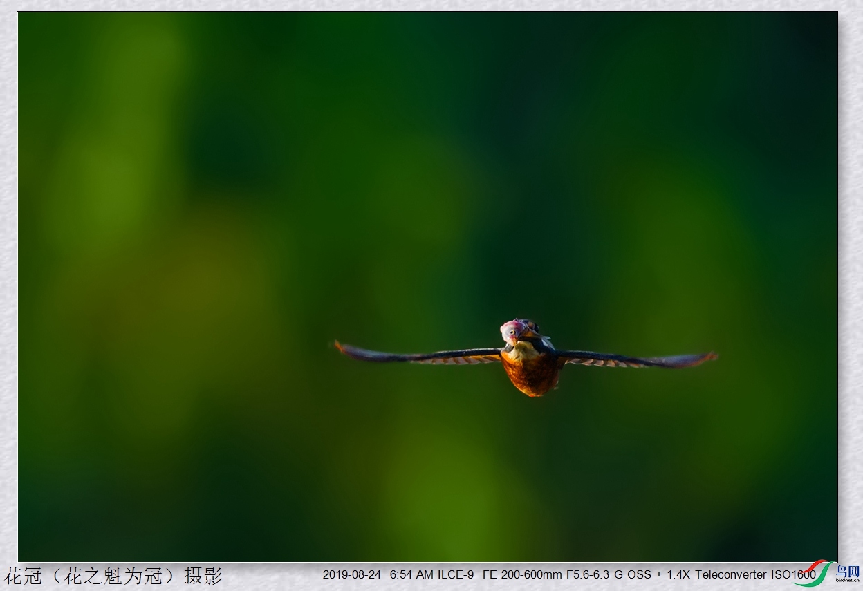 DSC04816B-2_����.jpg