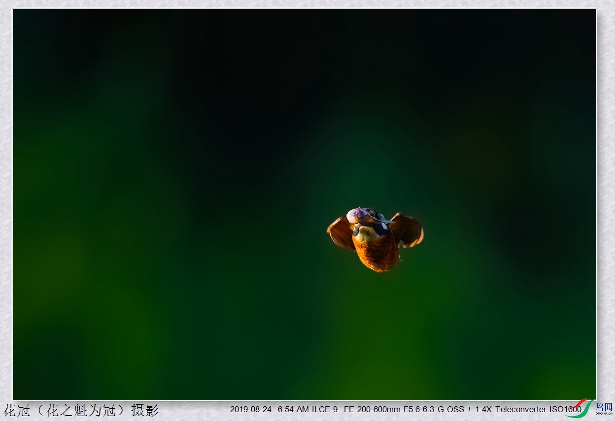 DSC04820B-2_����.jpg