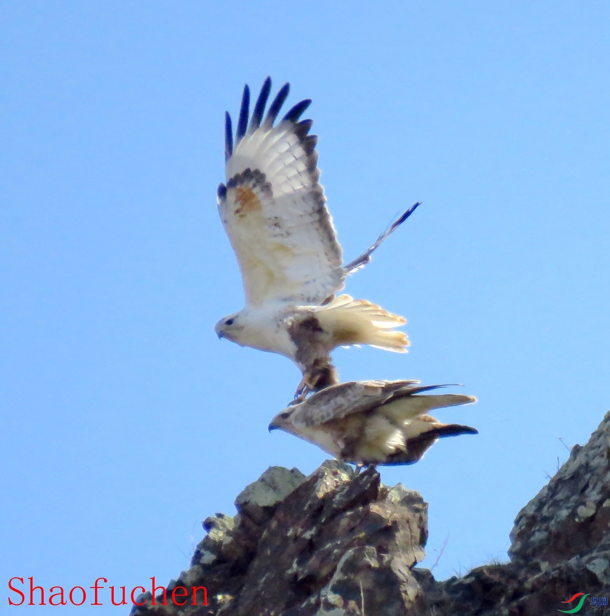 IMG_6477.JPG