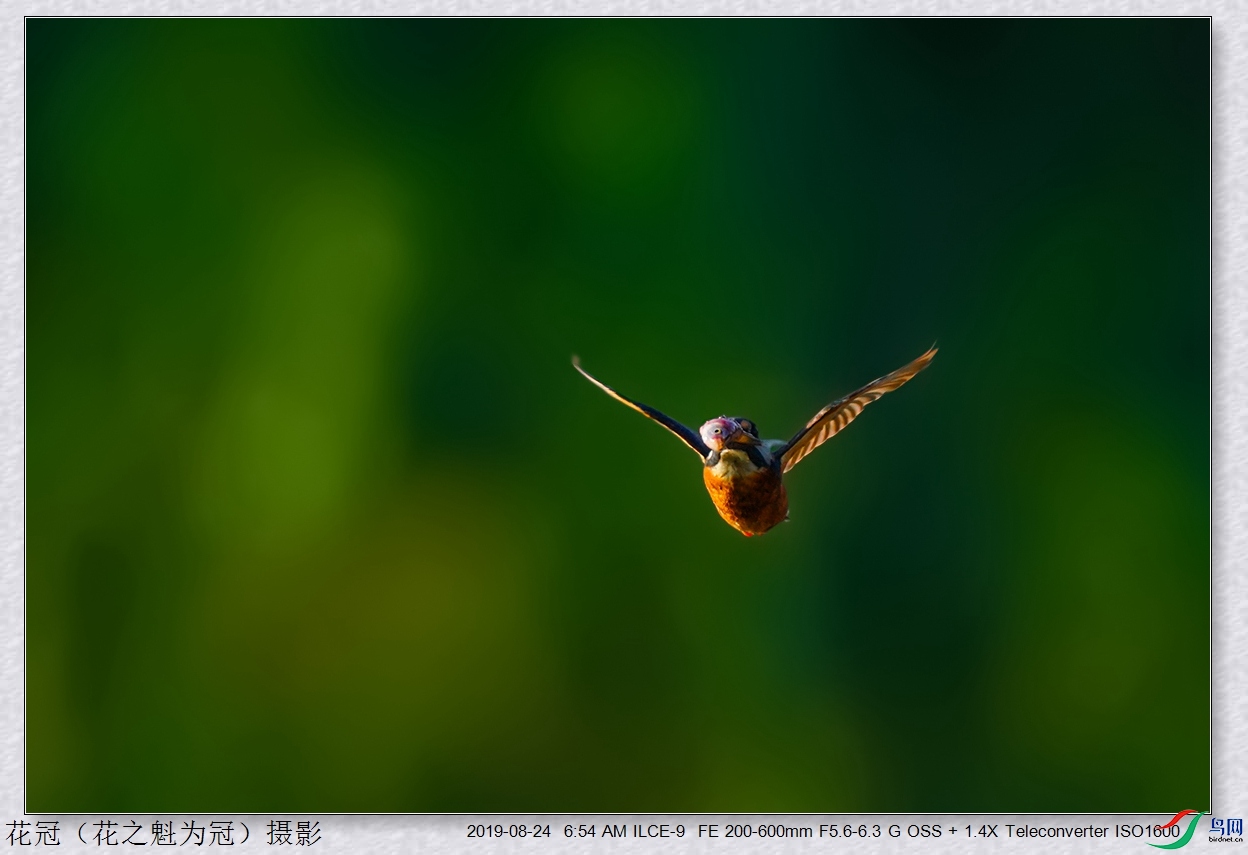 DSC04817B-2_����.jpg