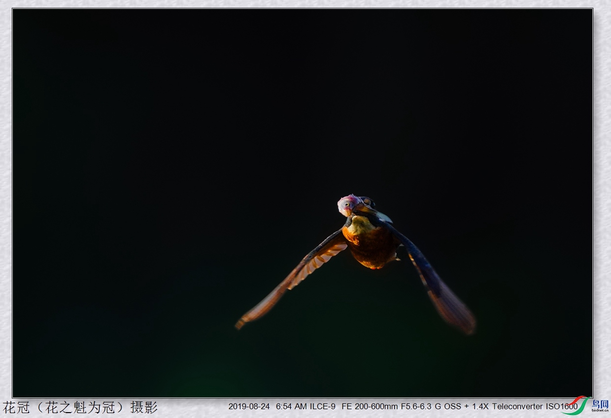 DSC04823B-2_����.jpg