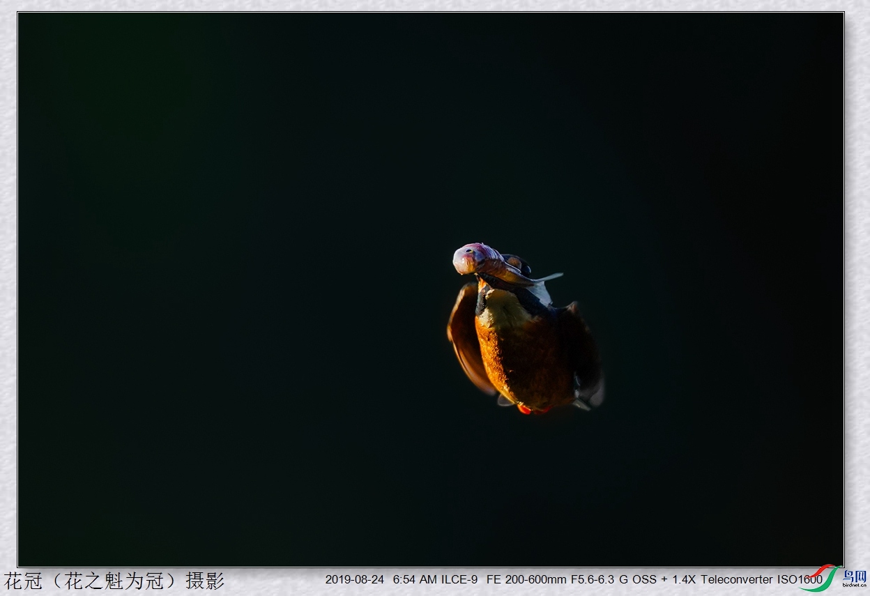 DSC04830B-2_����.jpg