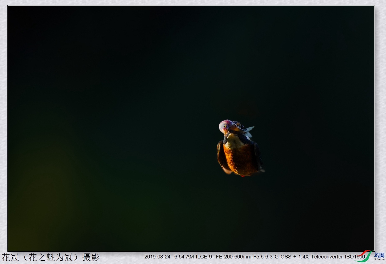 DSC04826B-2_����.jpg