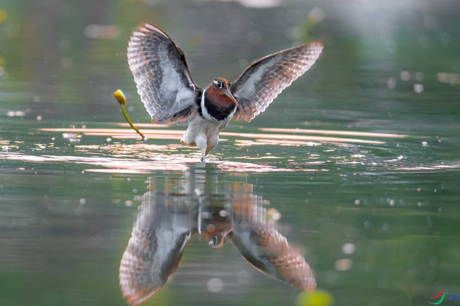 ��Ƭ1DSC_7441.jpg