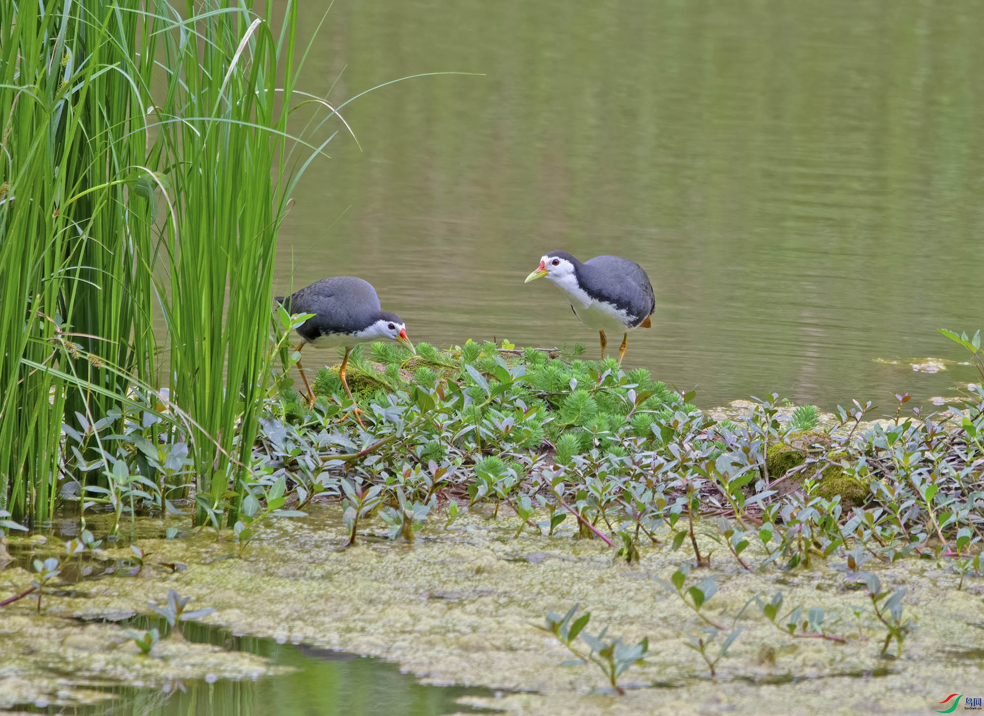 DSC_0561.jpg
