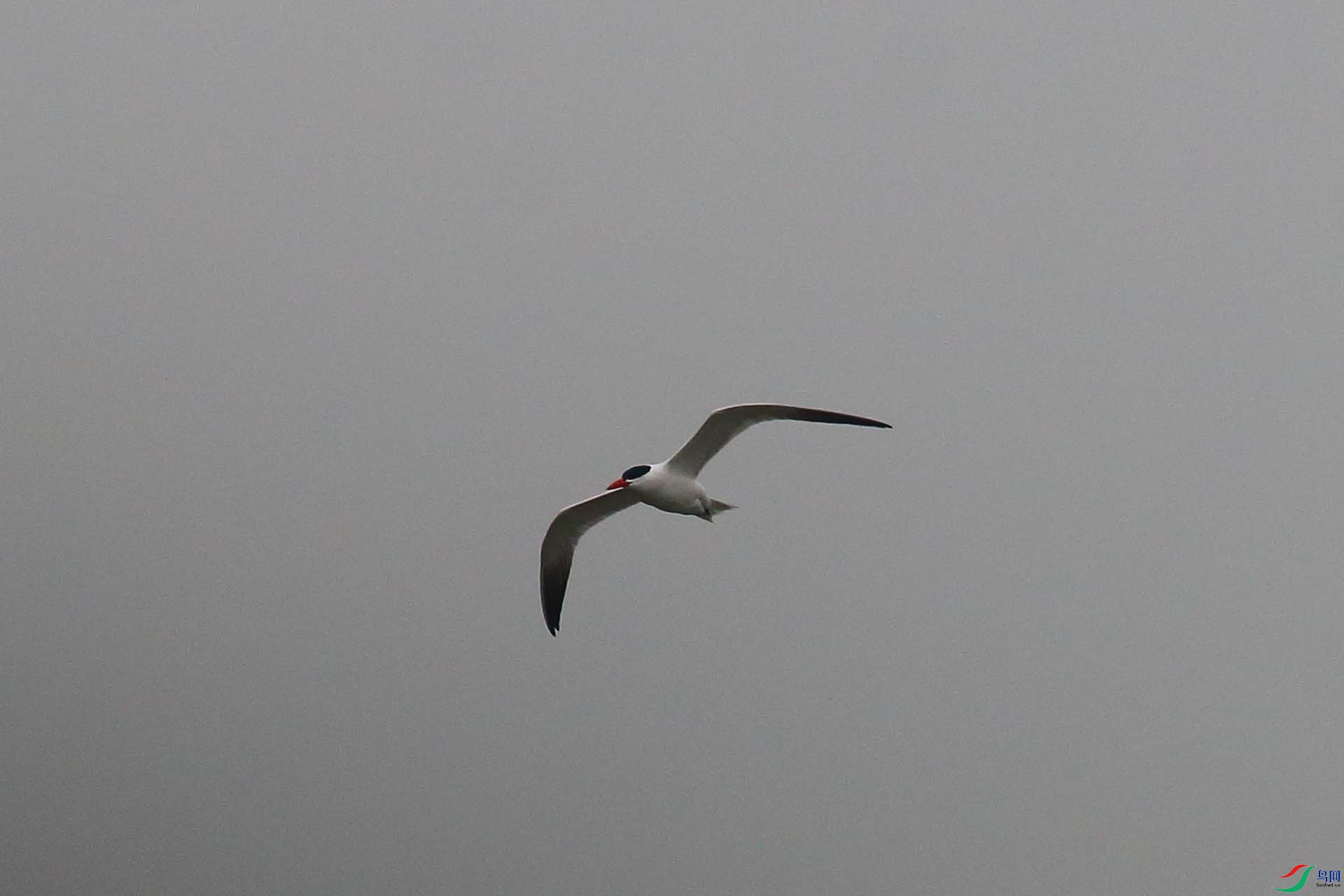 1IMG_6854.JPG