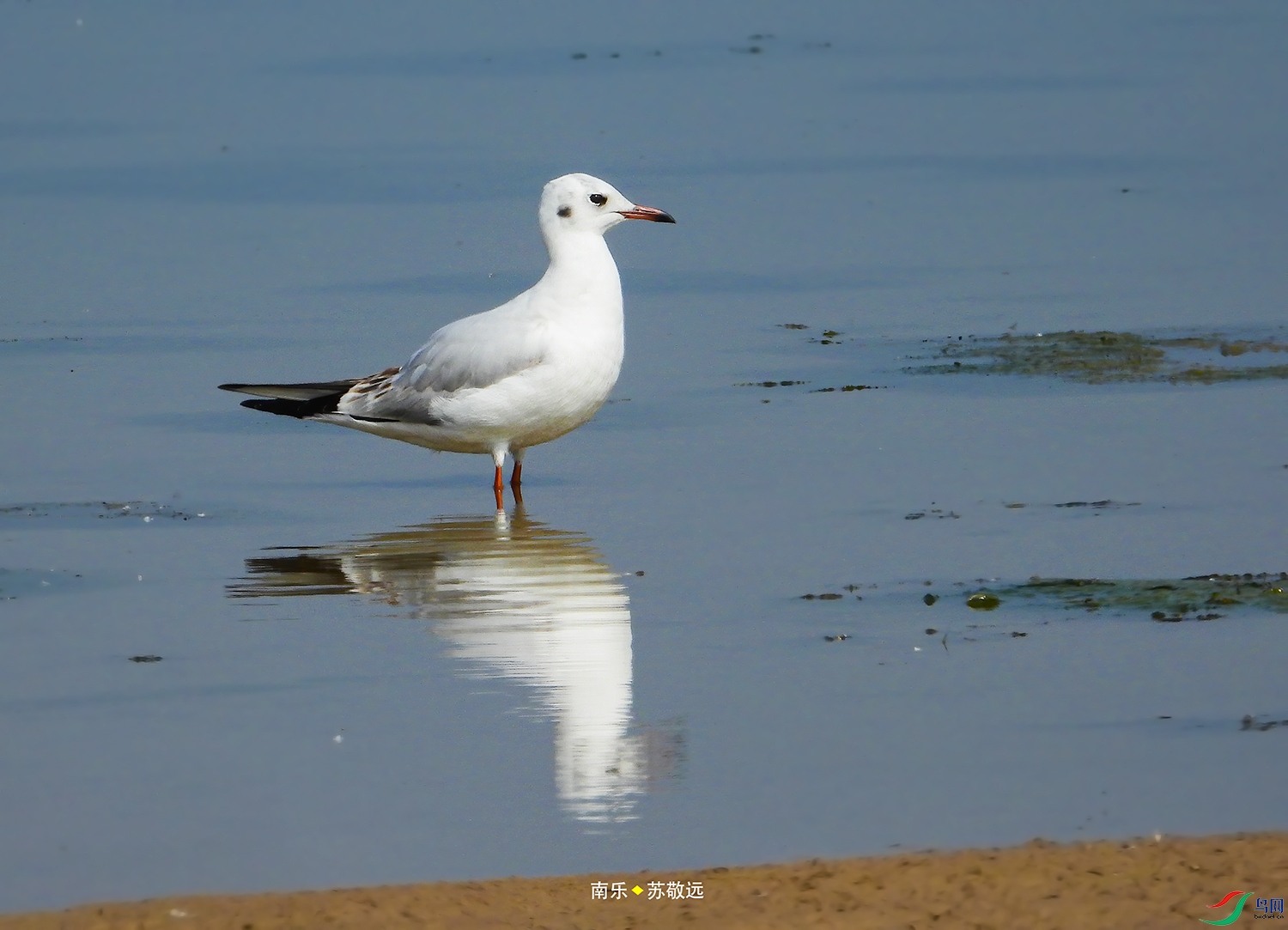 DSCN5384СС.jpg
