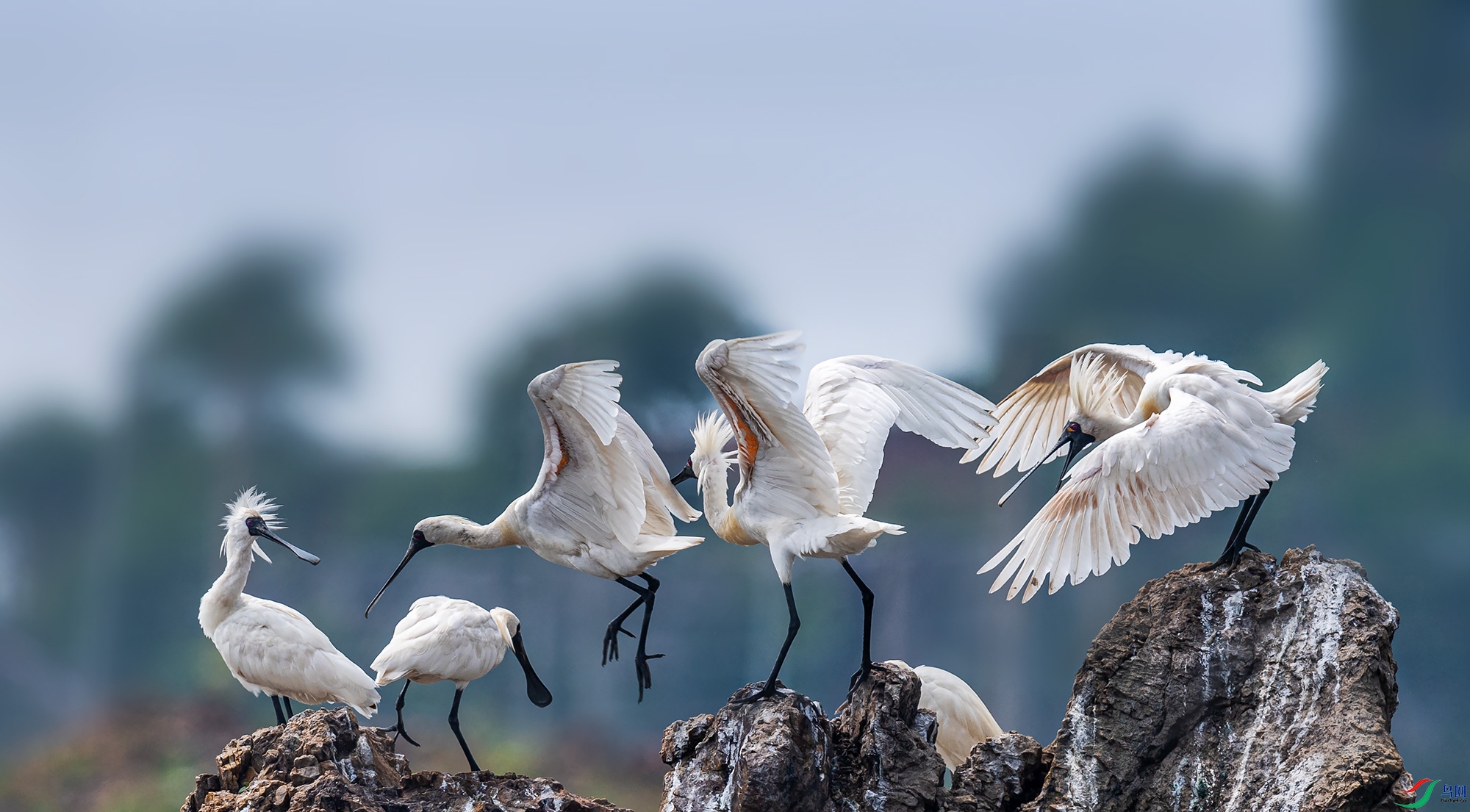 ��������