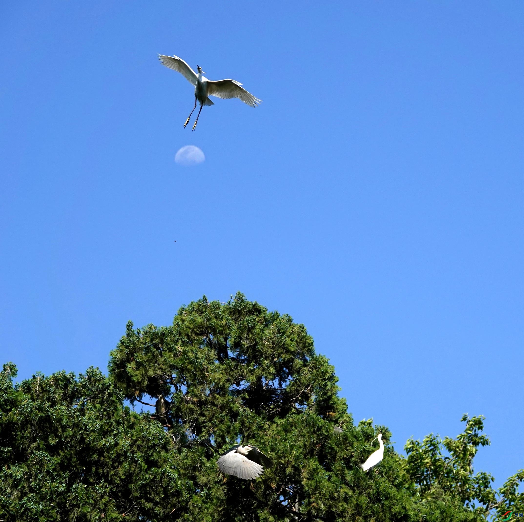 DSC06115_��ͼ��.jpg