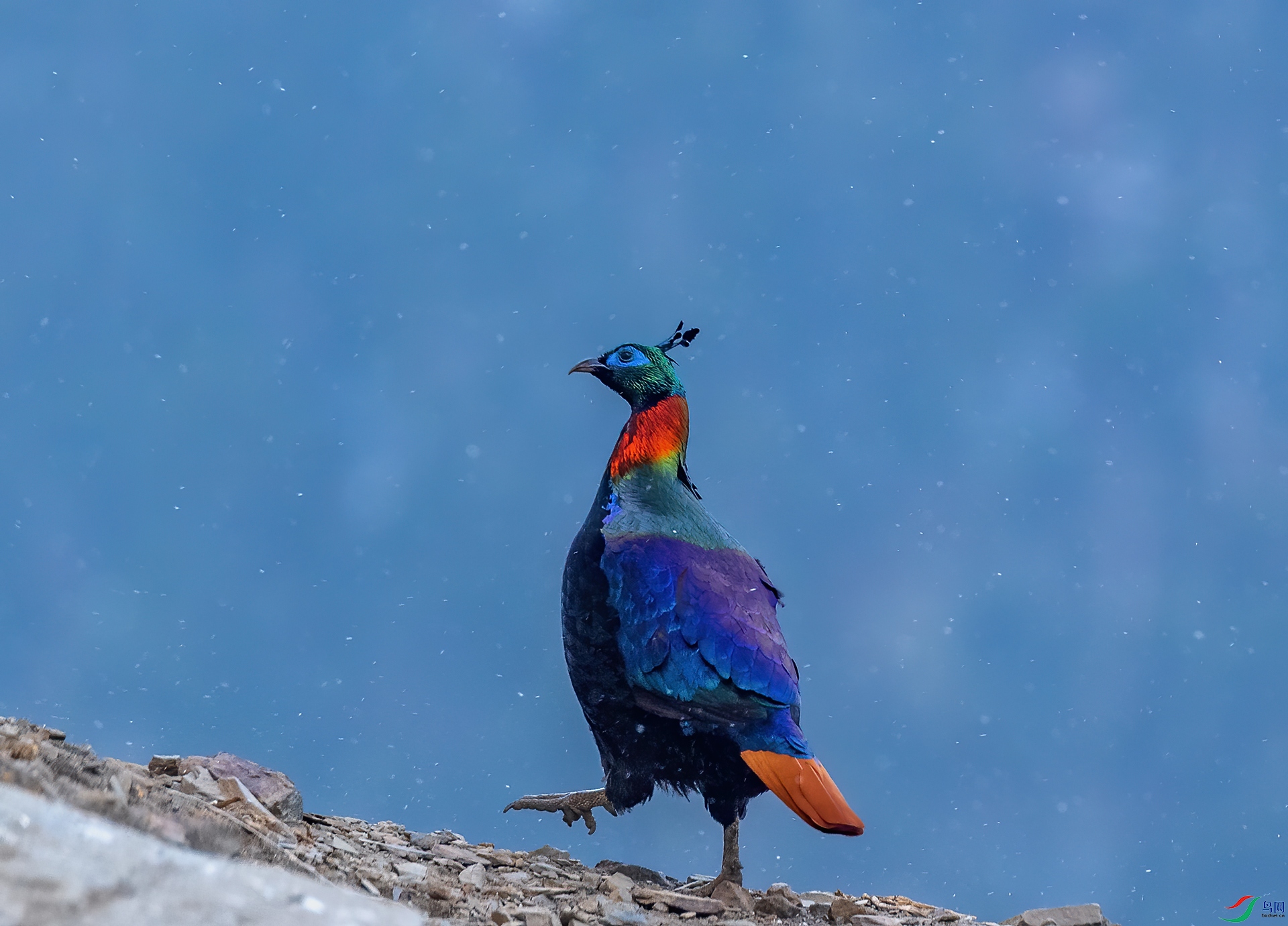 _DSC6671-1.jpg