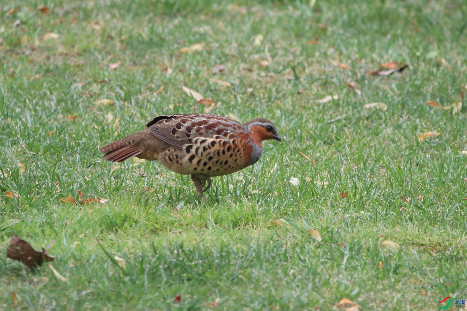 IMG_9389.JPG