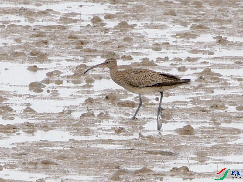 P6440741 - ����.JPG