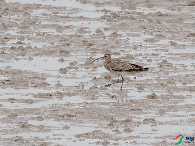 P6440742 - ����.JPG