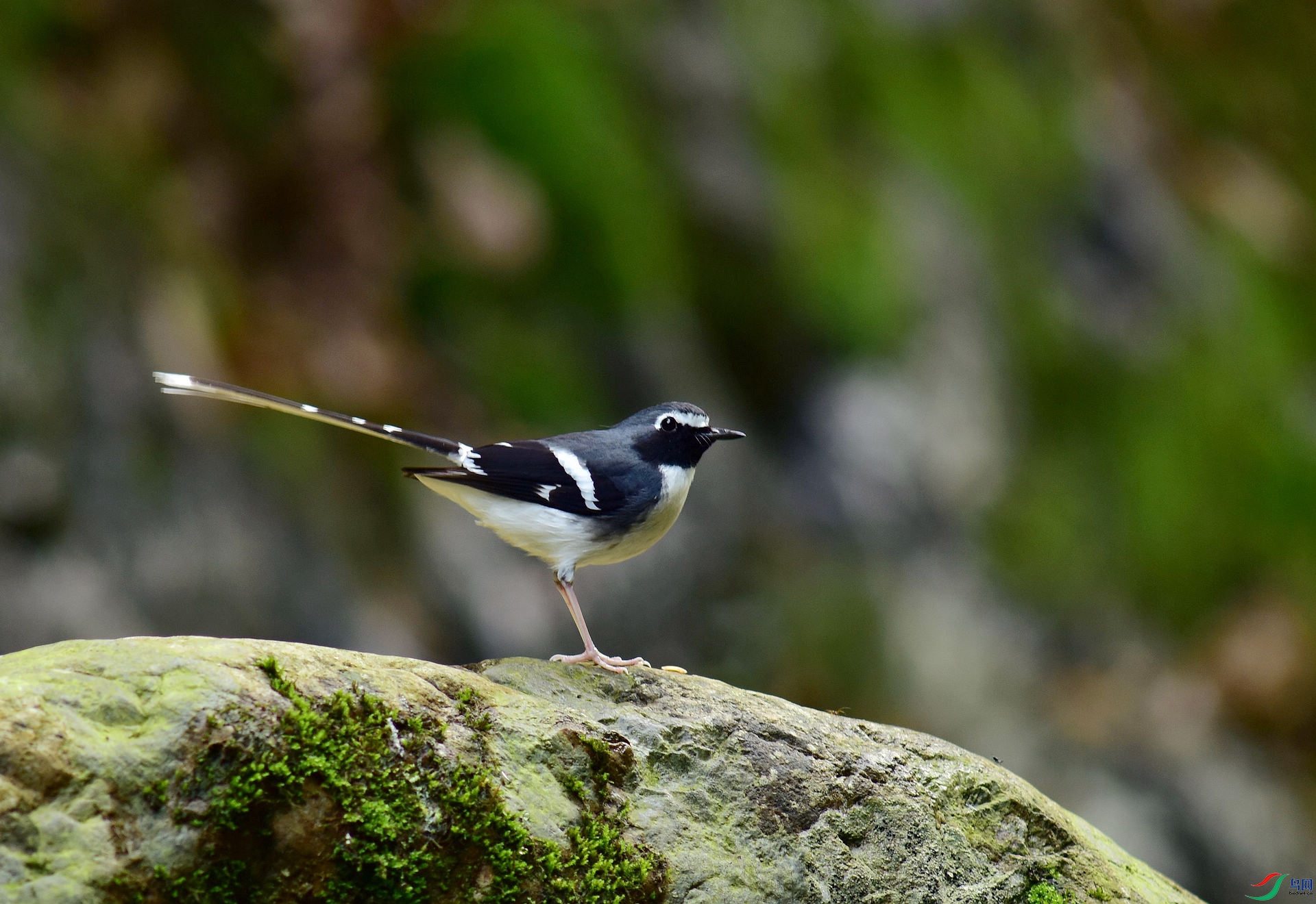D8I_6980.jpg