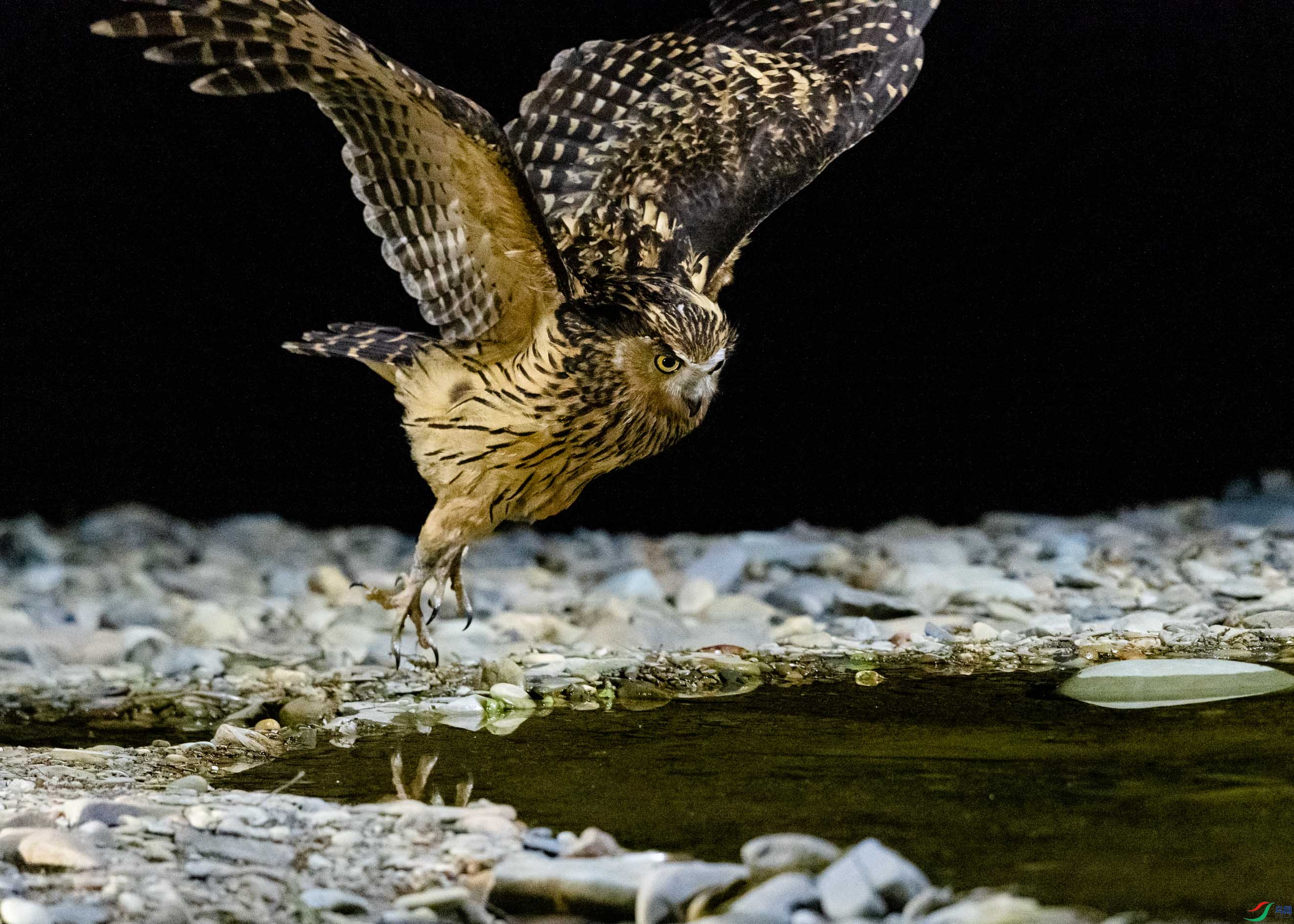 DSC_6704.jpg