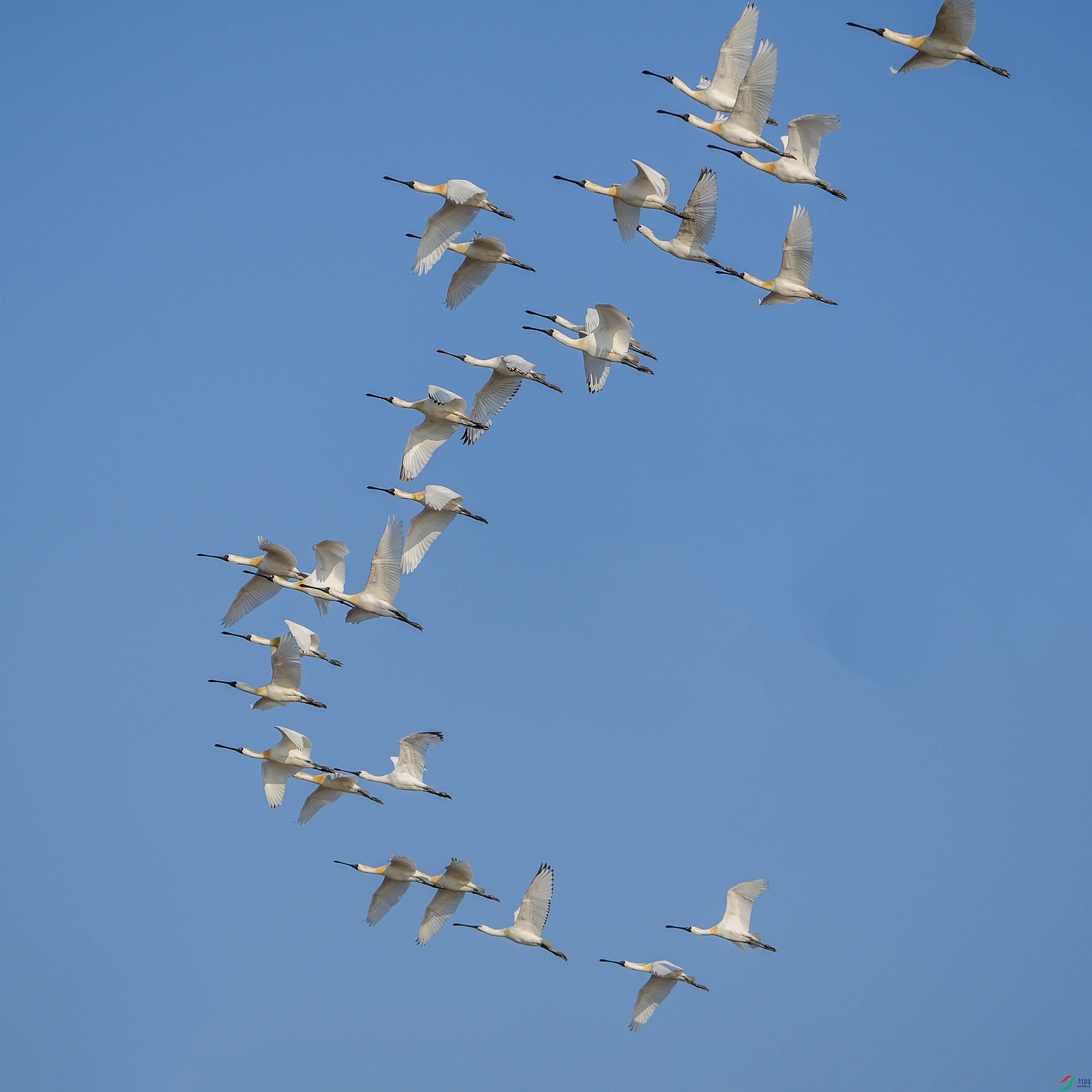 DSC03912.JPG