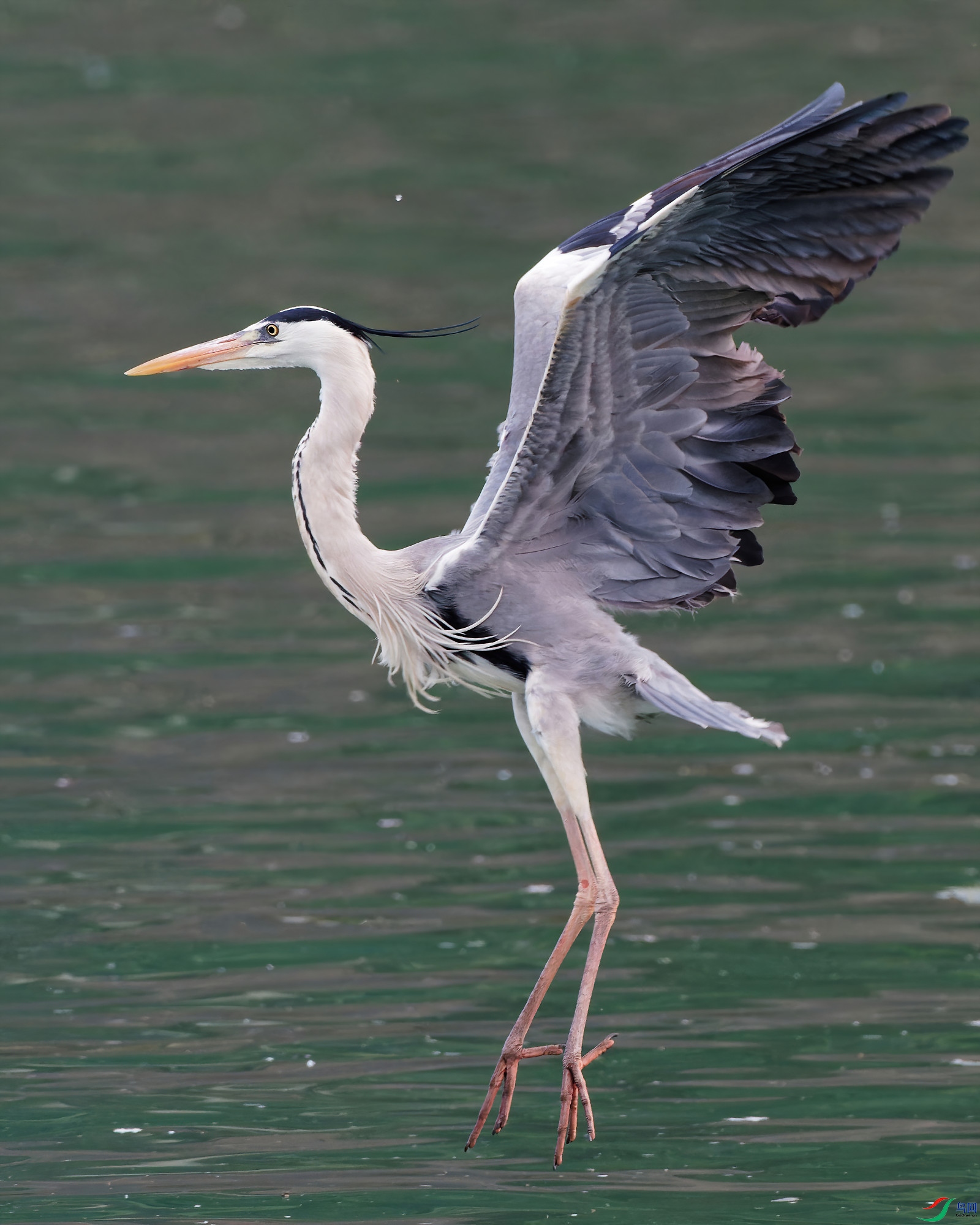 P4270036_DxO-sd2.jpg