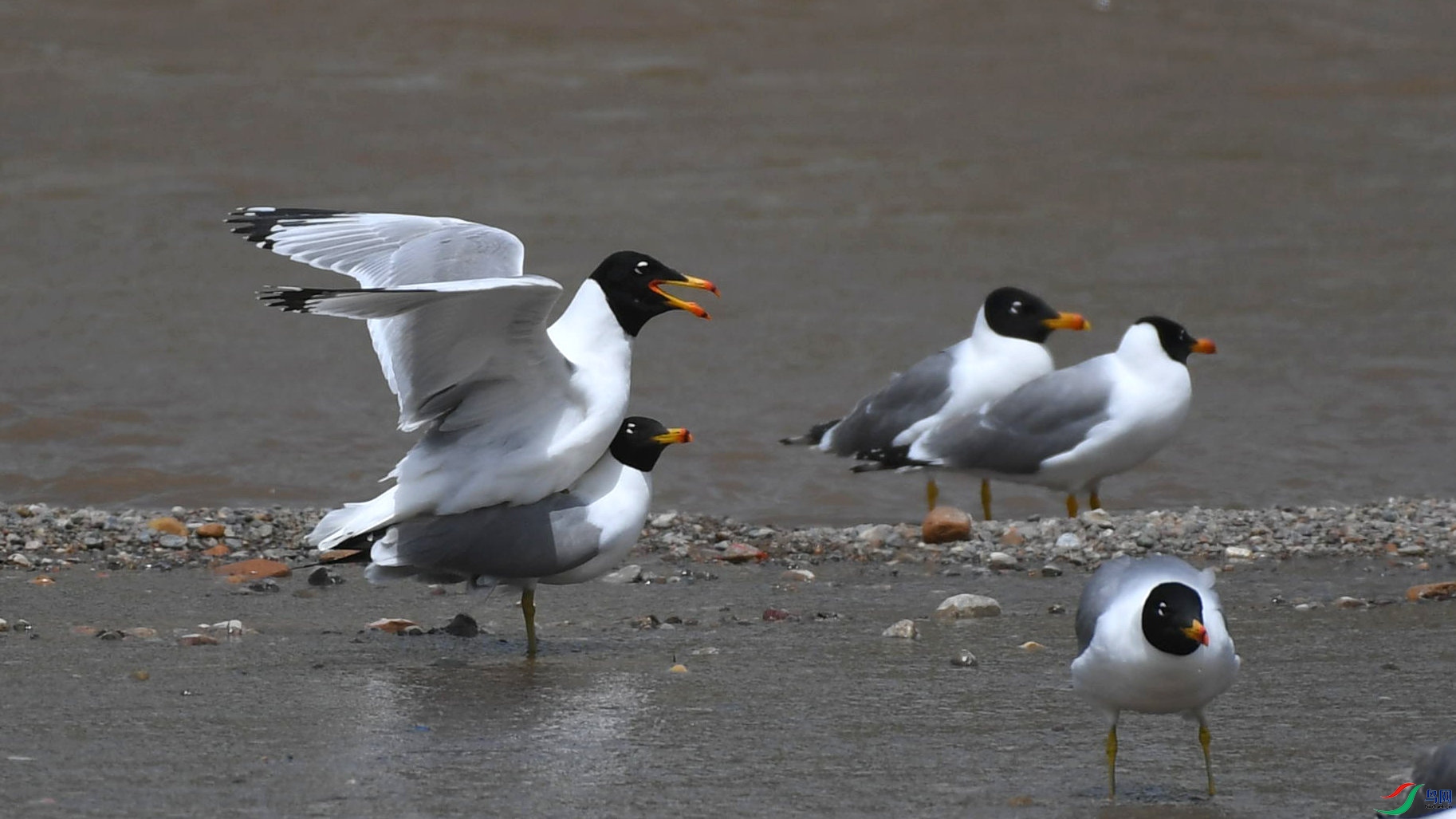 DSC_1198.jpg
