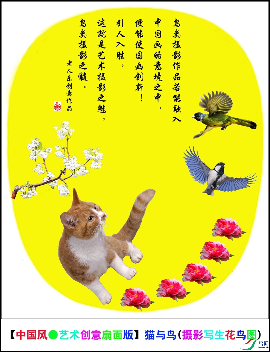 _DSC0341 �й����������������桿è����(��Ӱд������ͼ)�����.jpg