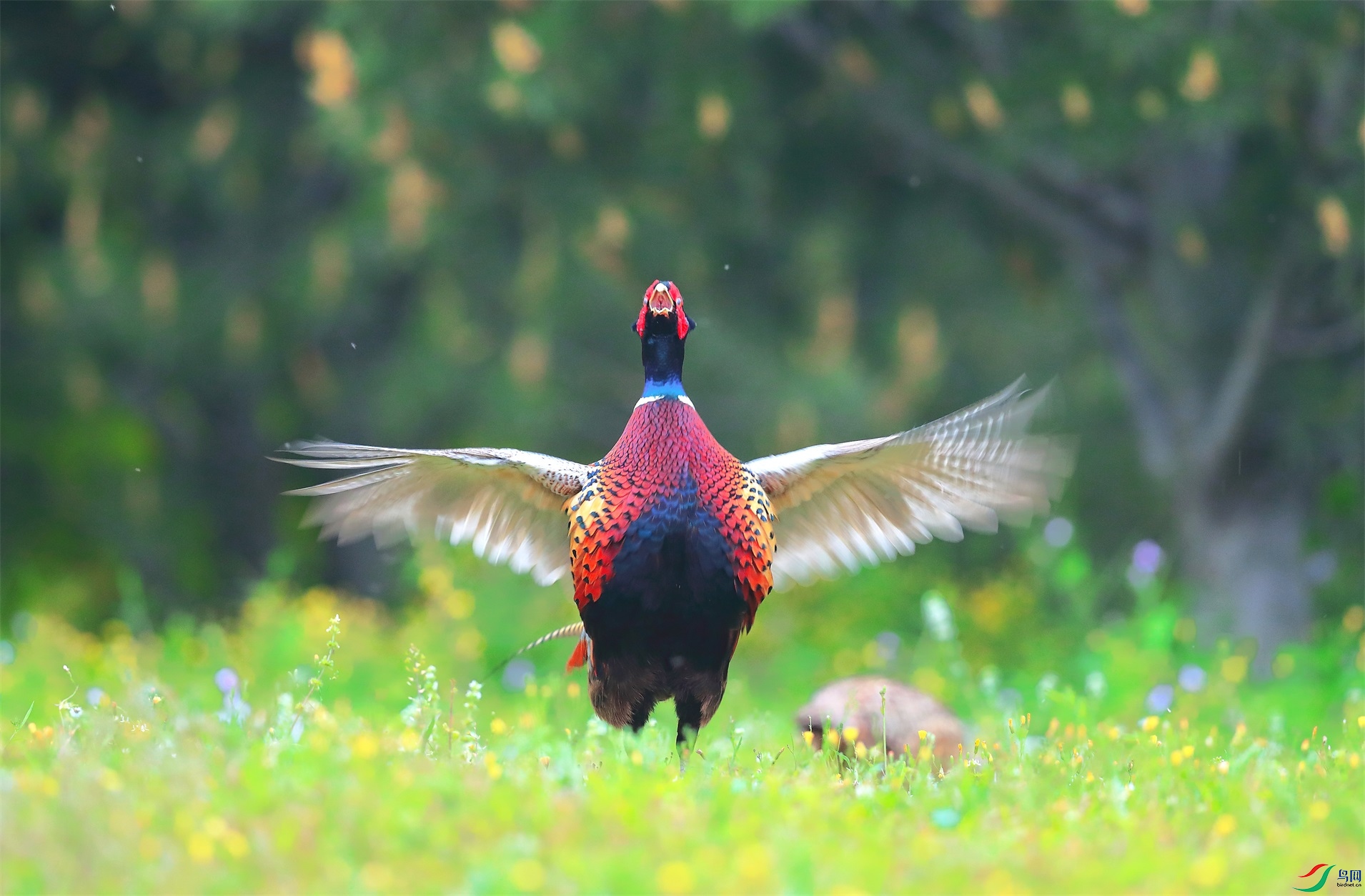 5 - ���� (3).JPG