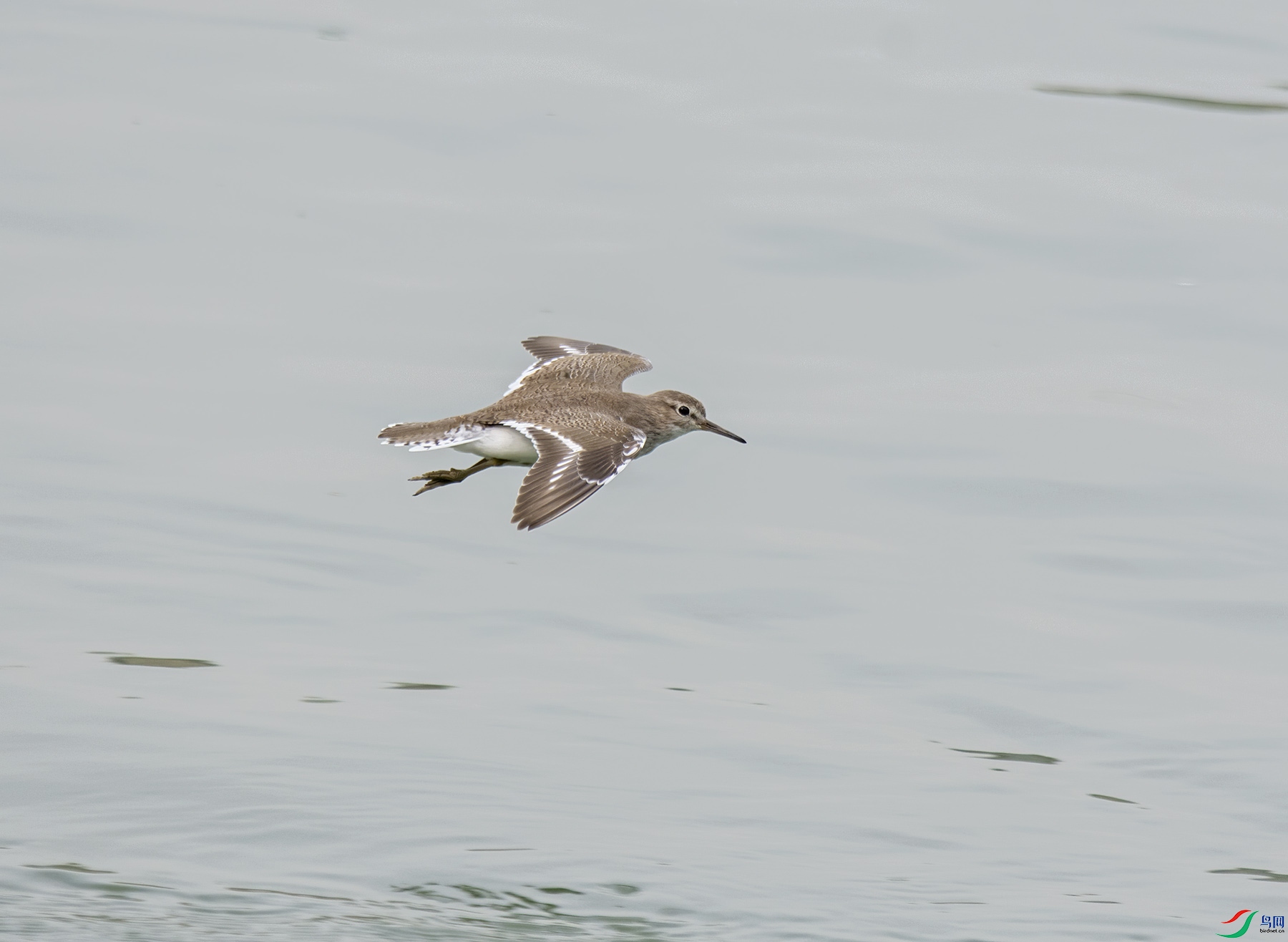 DSC_7937.jpg