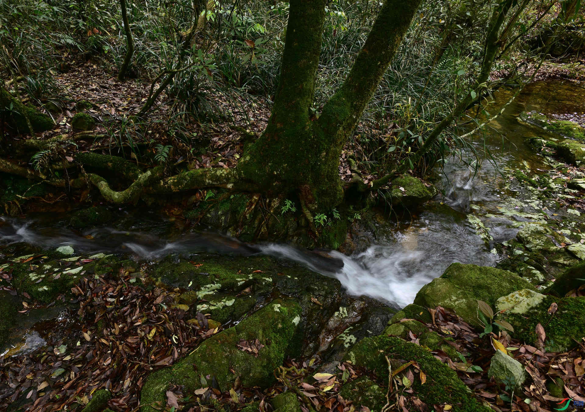 D8I_5598.jpg