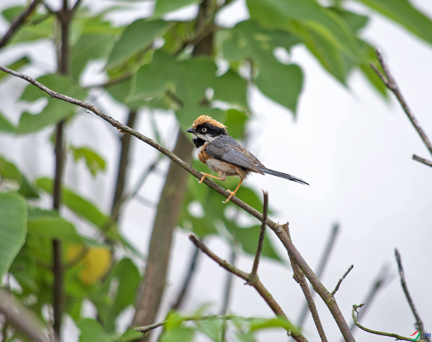 DSC_0284.jpg