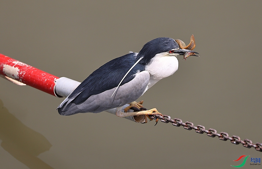 �Ҹ�����