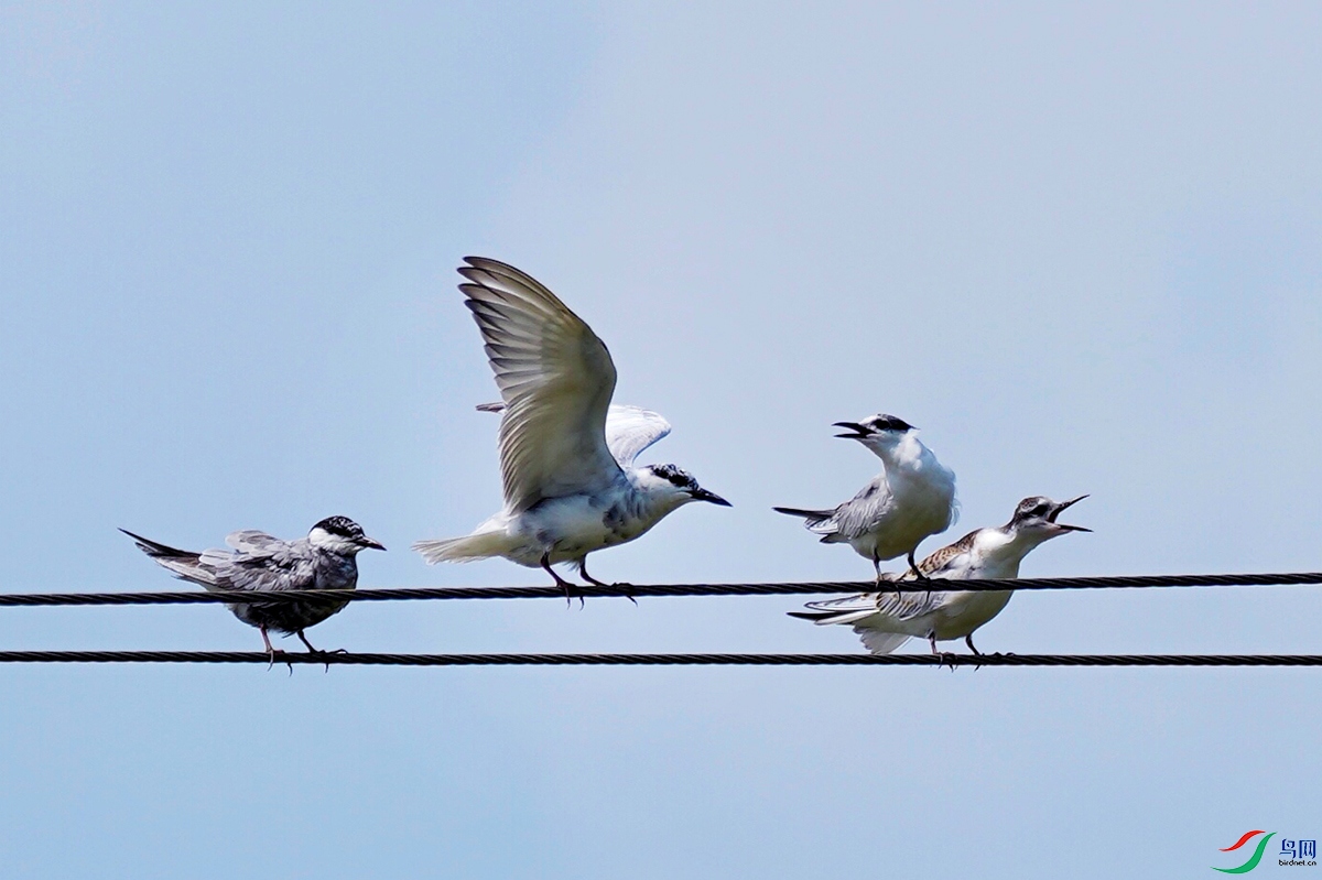 �����ϵ�����