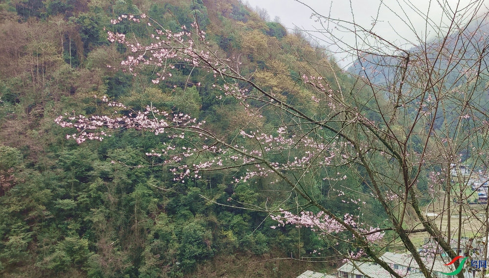 IMG_20210309_093837.jpg