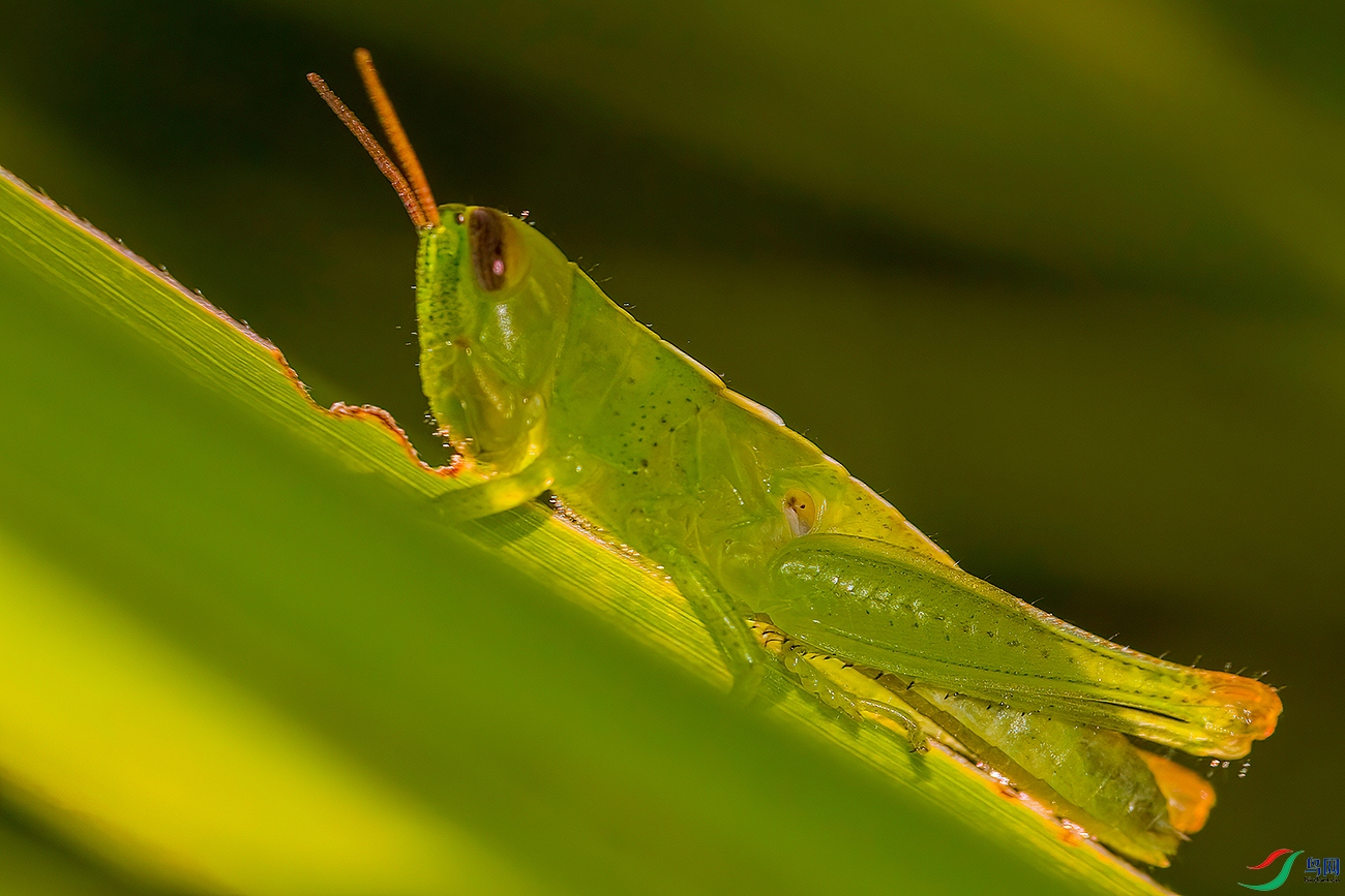 CRW_7563DL.jpg