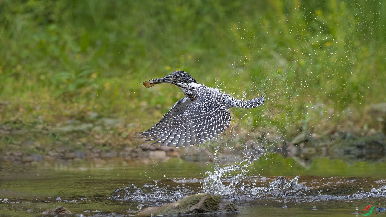 _DSC6814-22.jpg