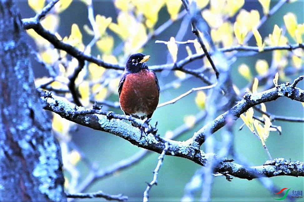 ֦������֪���� -KC.jpg