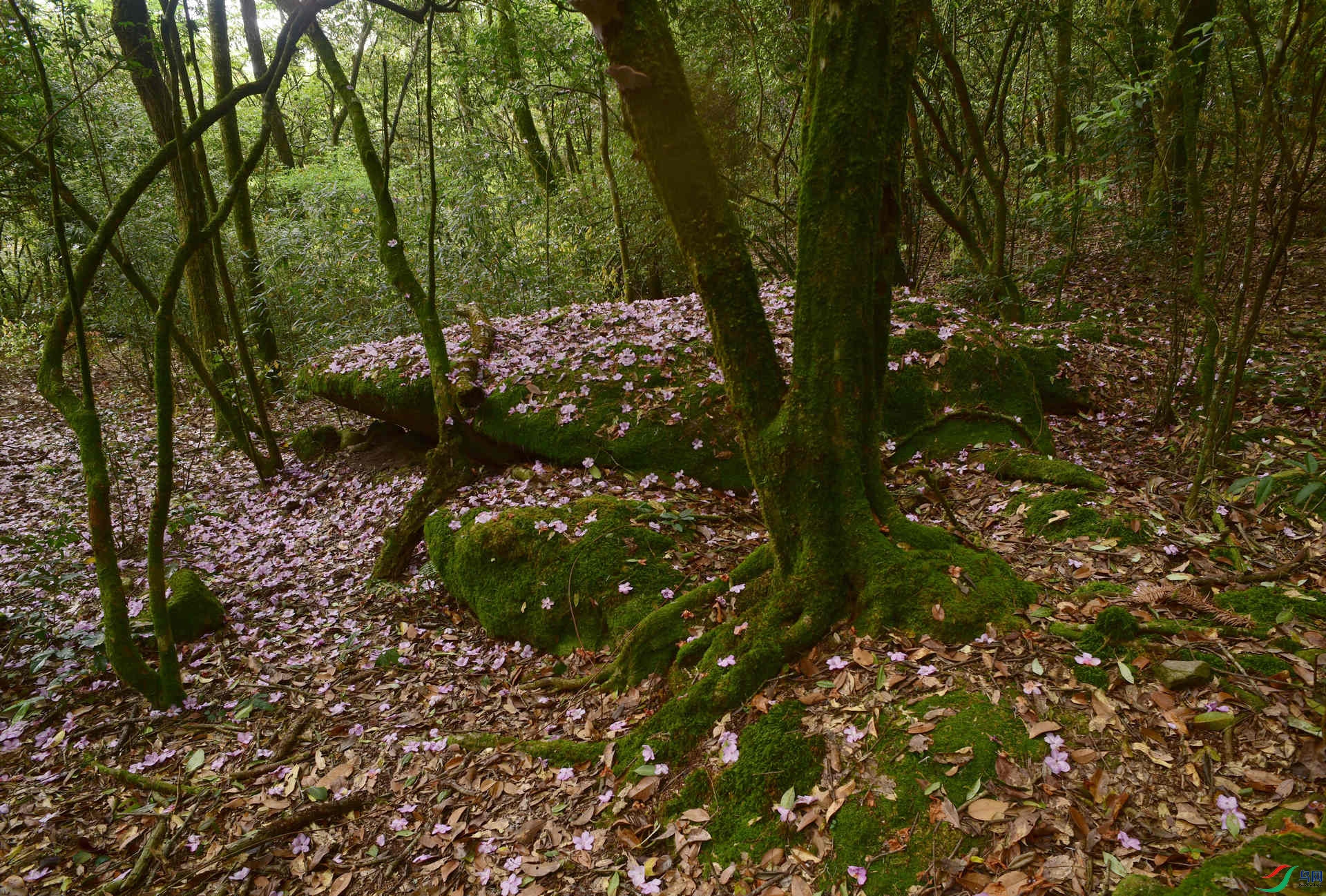 D8I_4859.jpg