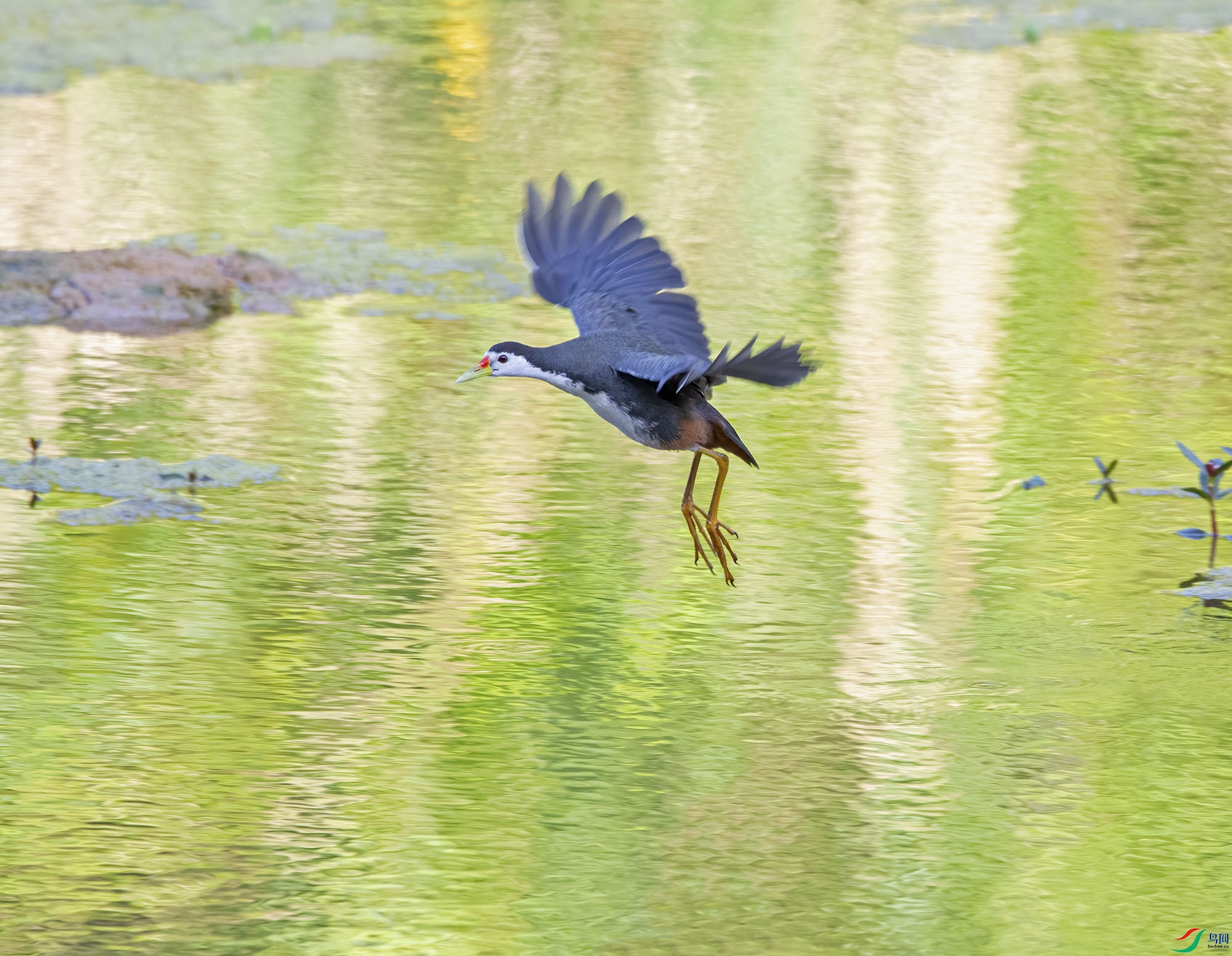 DSC_0863-1.jpg
