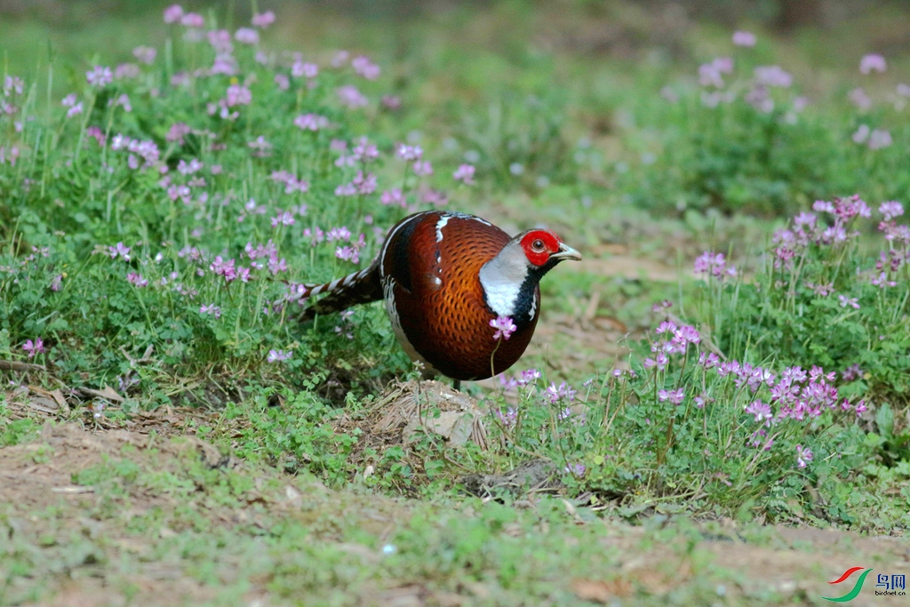 367A2383_����.jpg