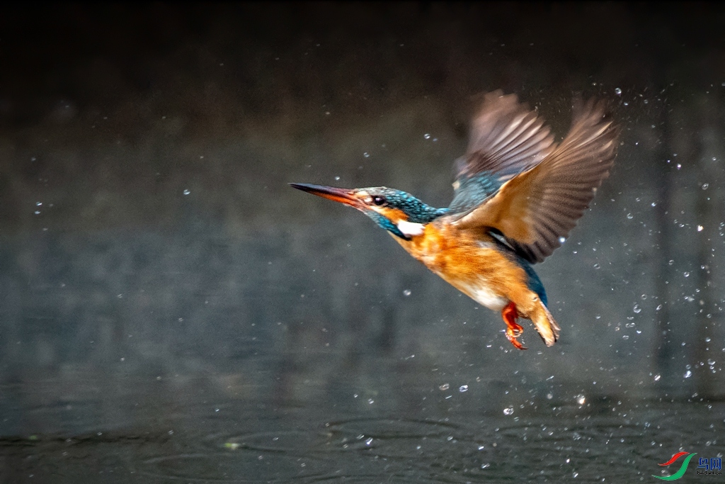 ���������� (3).jpg