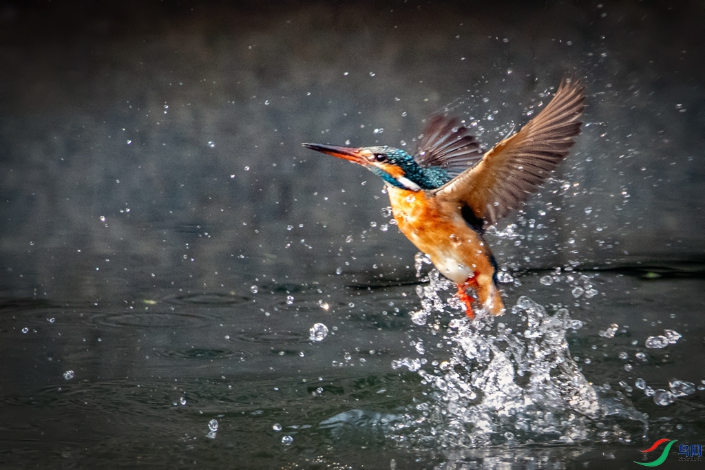 ���������� (1).jpg