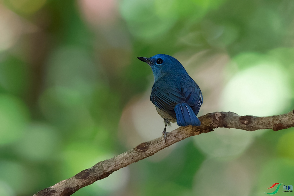 DSC_4412_DxOa.jpg