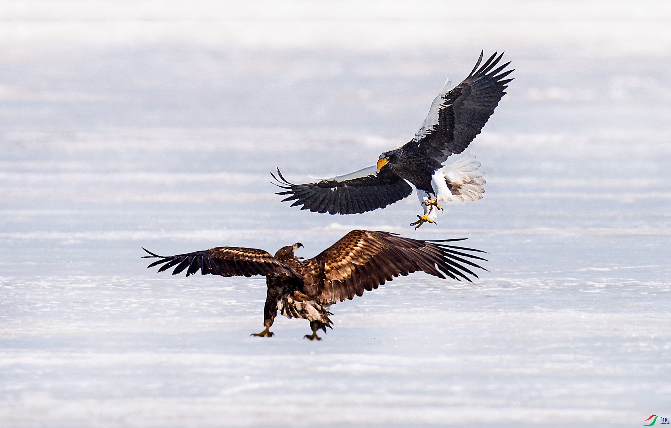 DSC_6588-2_����.jpg