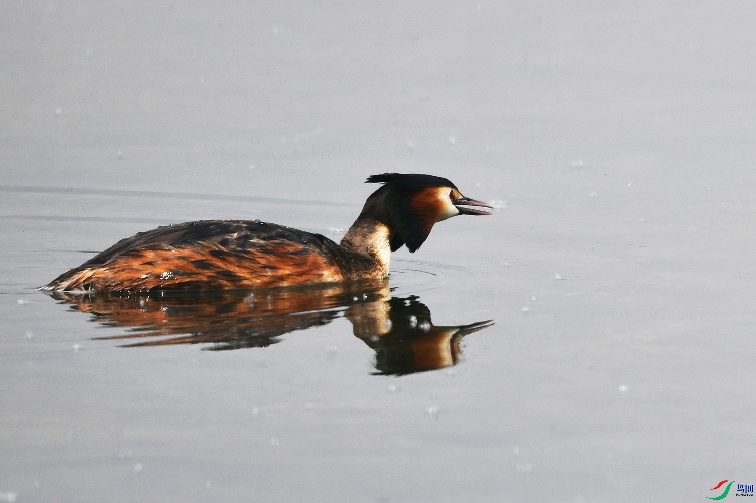 DSC_3543.jpg