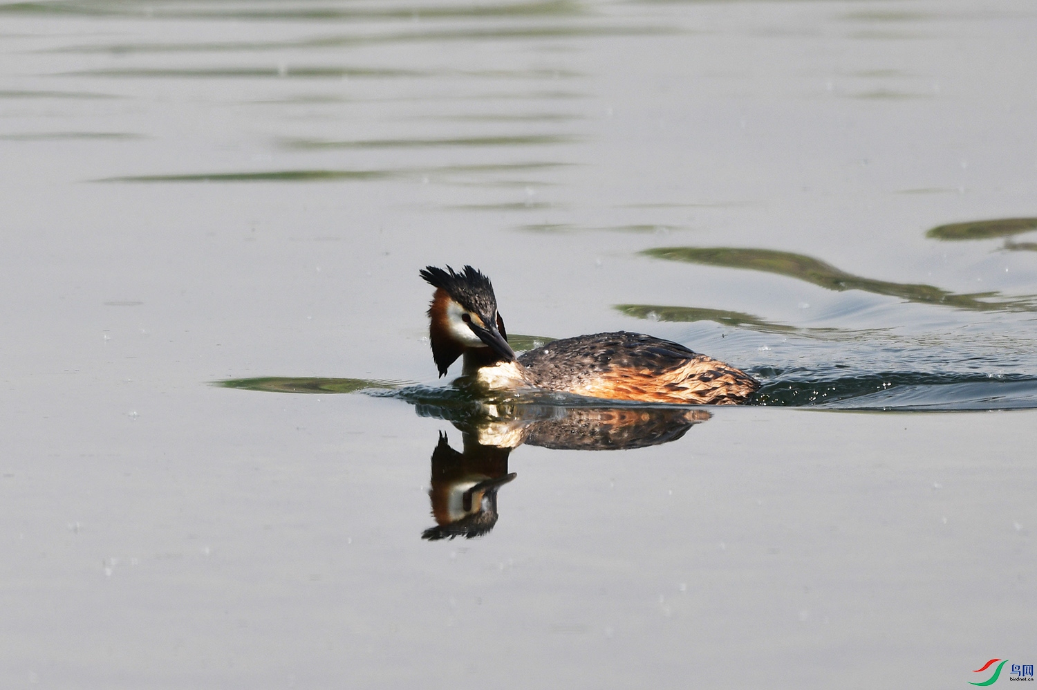 DSC_3557.jpg