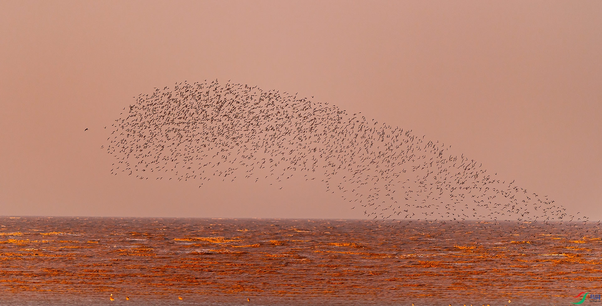 DSC_2364.jpg