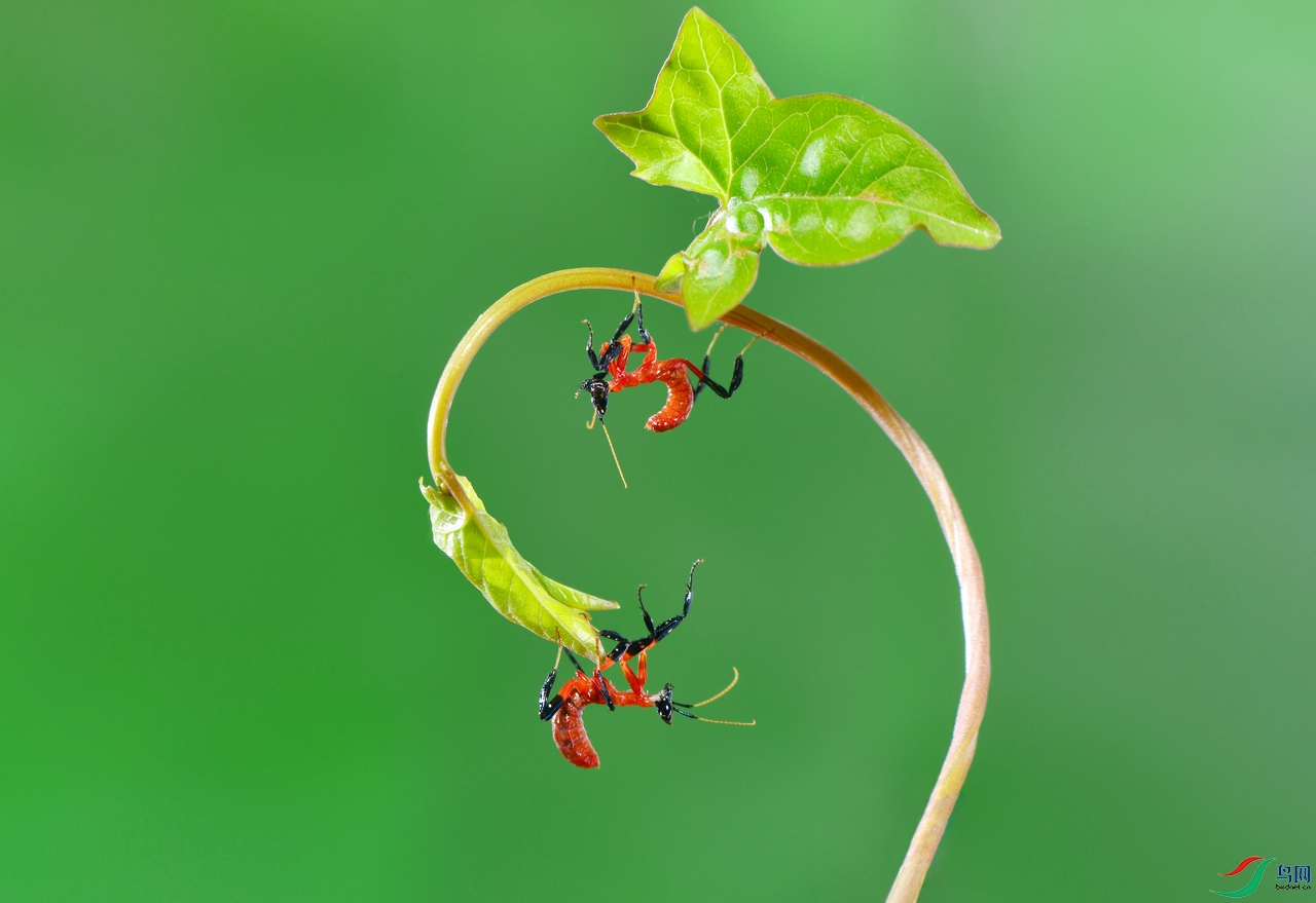 DSC_3932 �������� ����.jpg