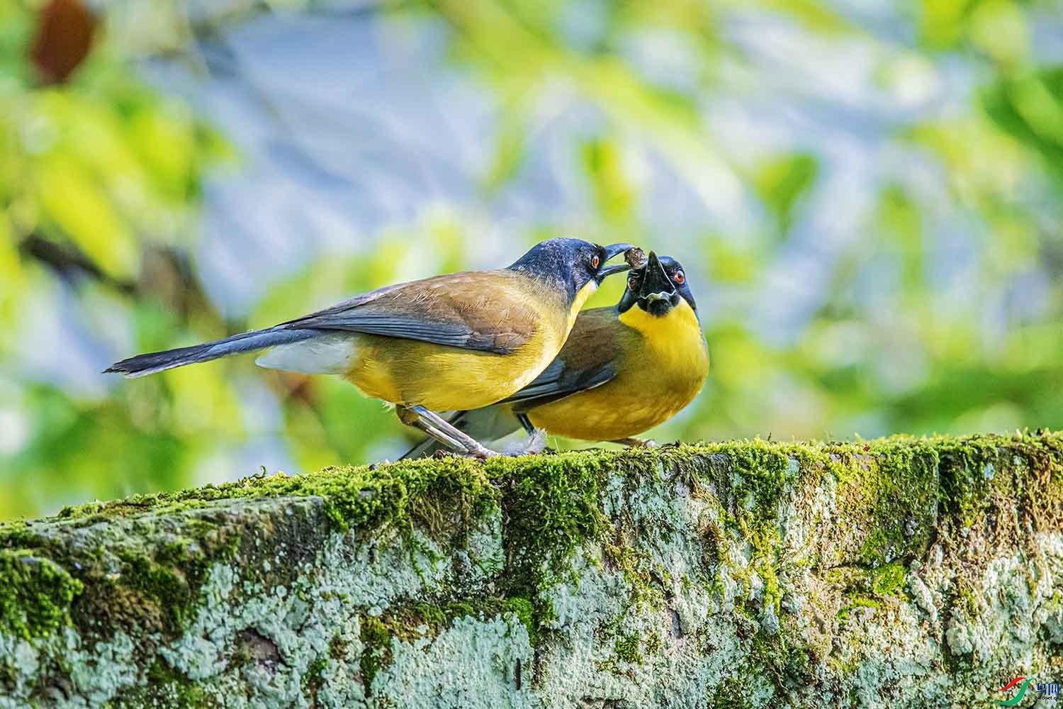 DSC_2619.jpg