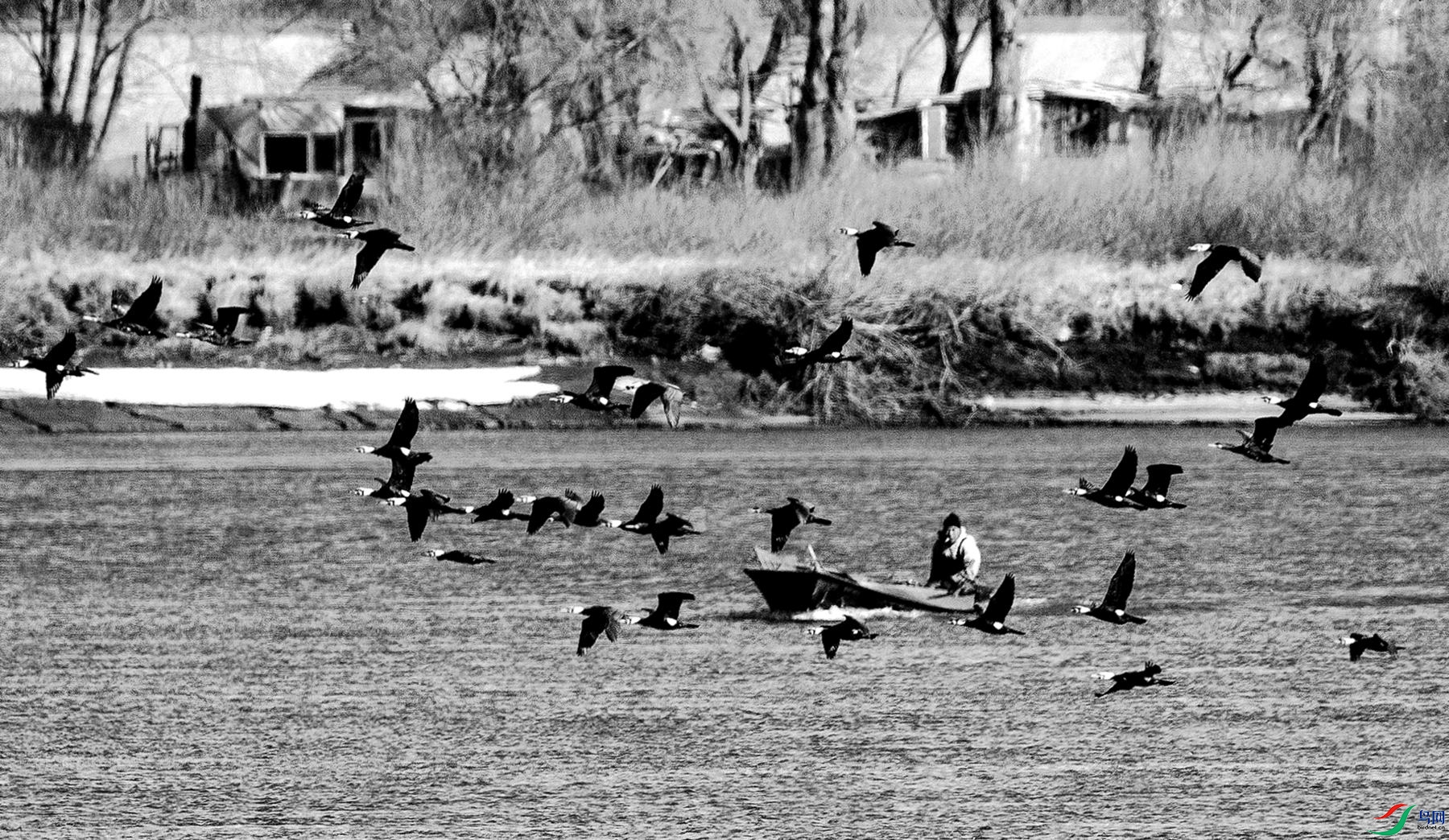 ��г��� (4).jpg