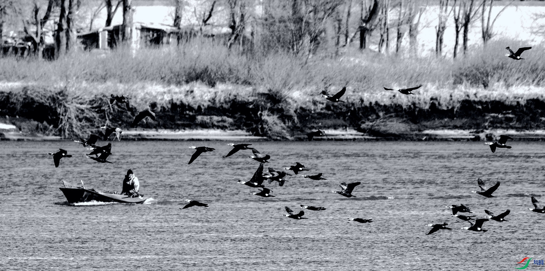 ��г��� (3).jpg