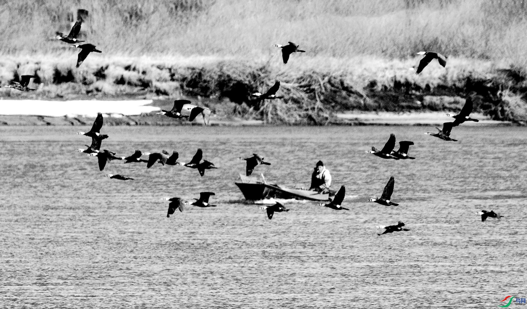 ��г��� (2).jpg